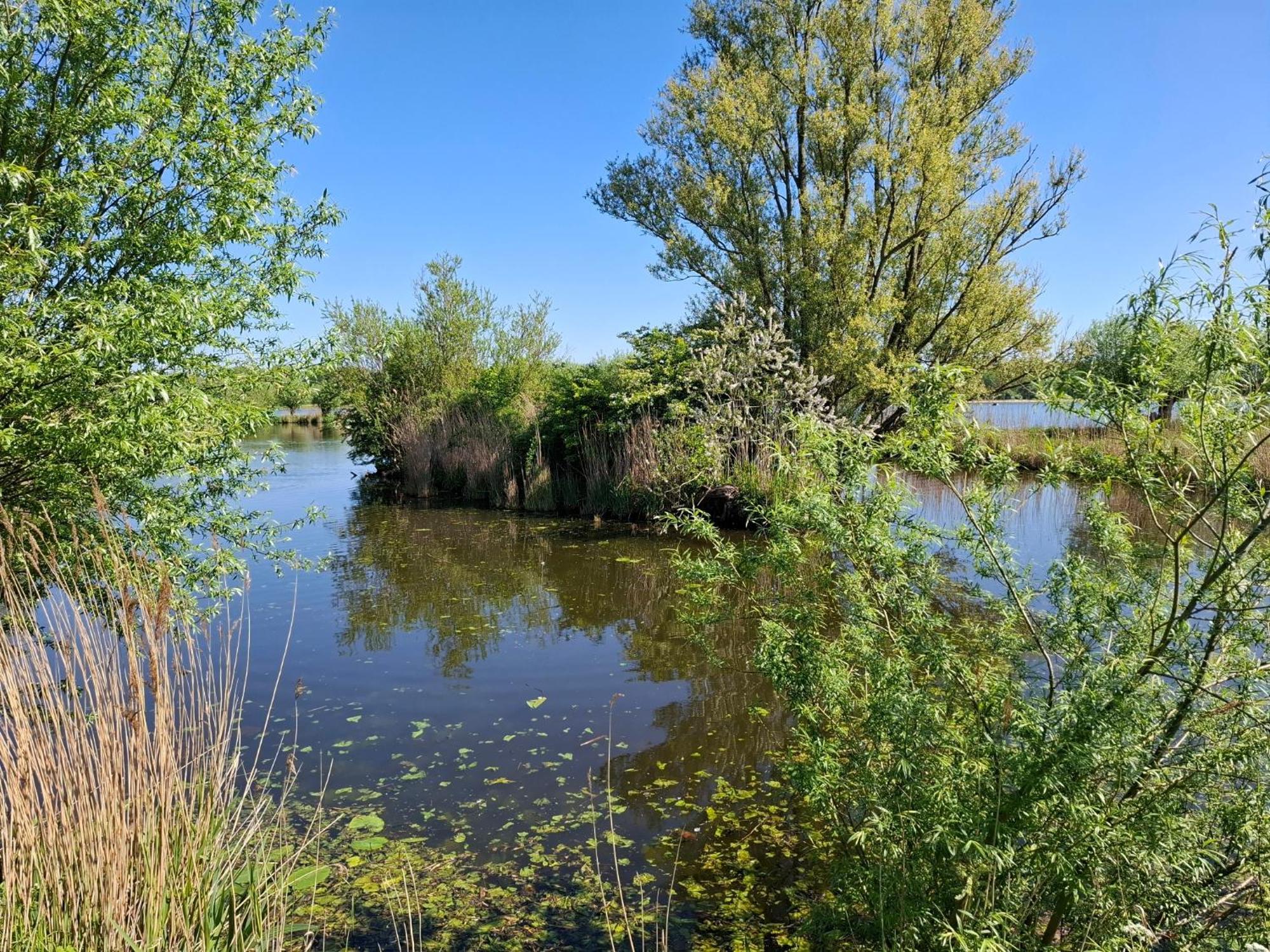 Sweetlake